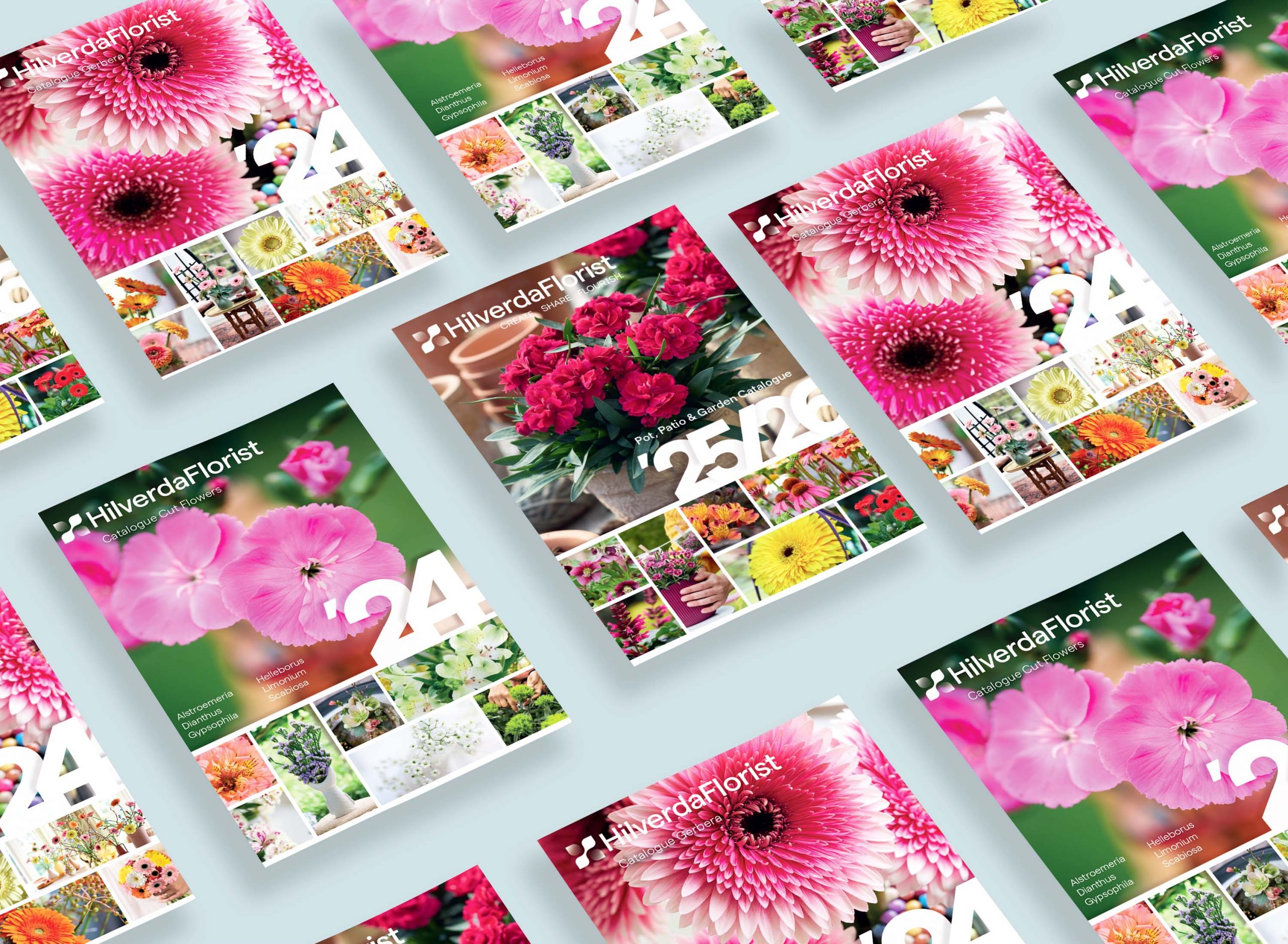 Pot & Garden Cutflower Gerbera Mockup